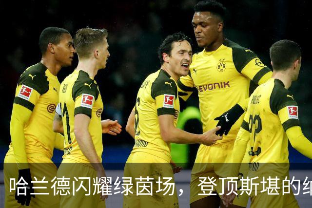 哈兰德闪耀绿茵场，登顶斯堪的纳维亚历史射手王